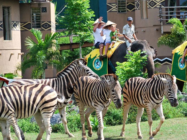 Групповая обзорная экскурсия в Safari and Marine Park на Бали — фото 2