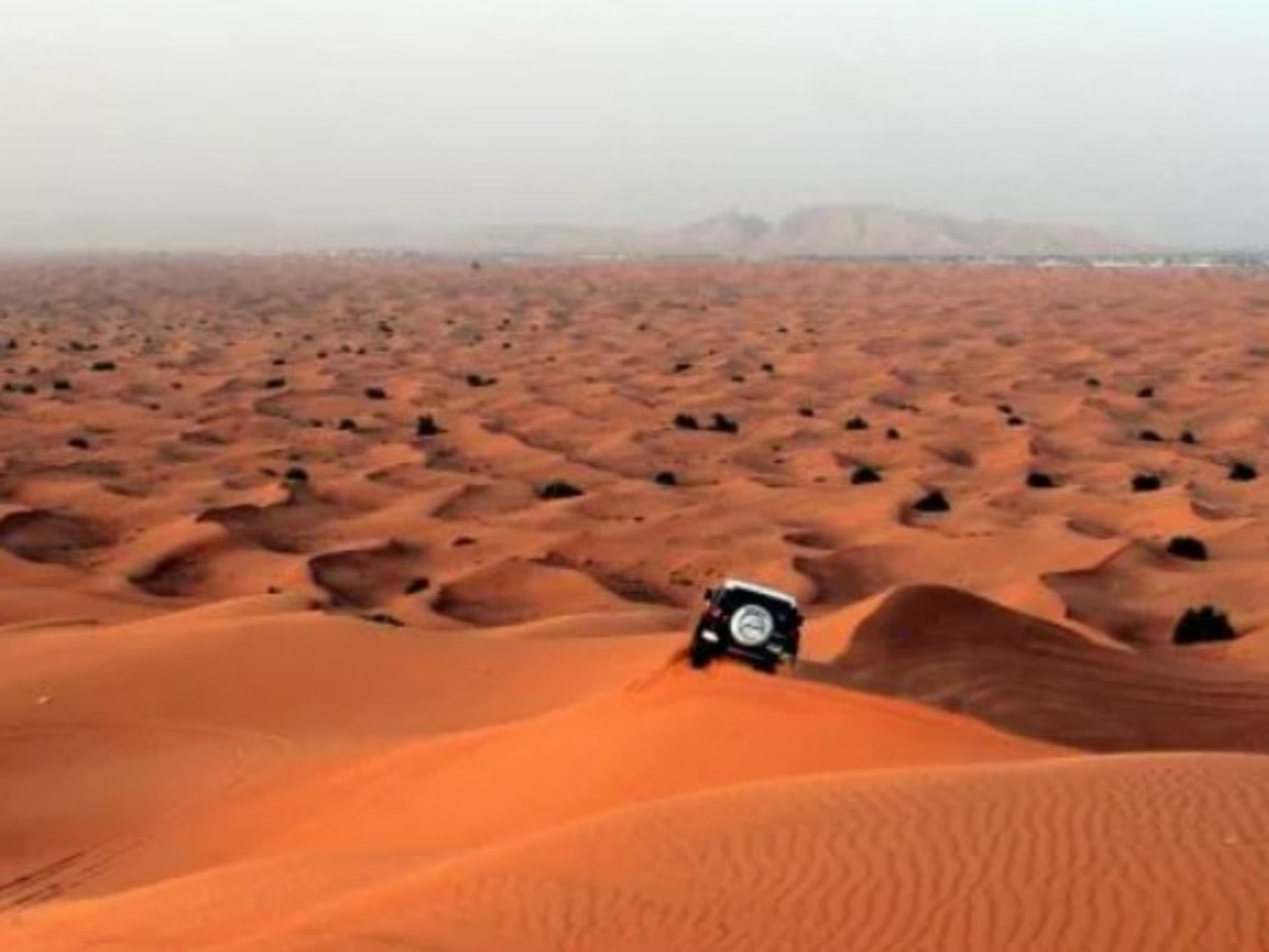 Сафари в красных песках | Цена 430$, отзывы, описание экскурсии