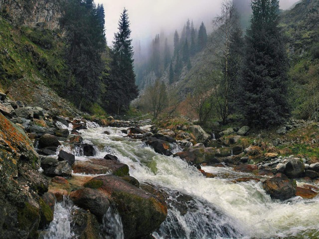 Индивидуальная экскурсия из Алматы в ущелье Проходное — фото 3