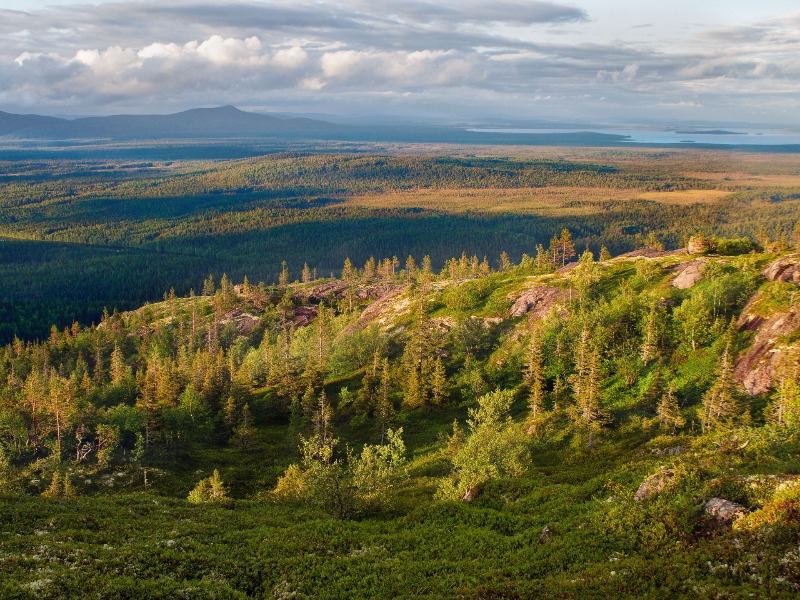Панорамы 