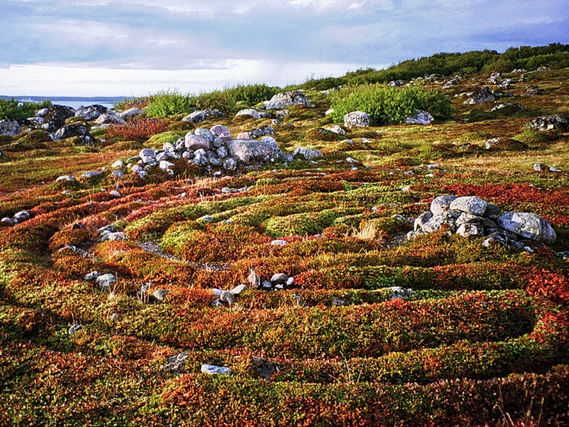 Протосаамский лабиринт  