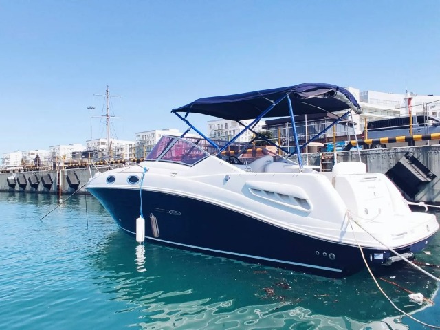 Аренда катера Sea Ray 275 — фото 3
