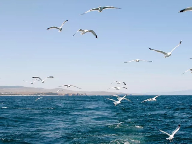 Обзорная экскурсия из Иркутска к Малому морю, побережью Байкала — фото 3