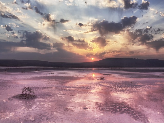 К розовым озерам Крыма из Анапы