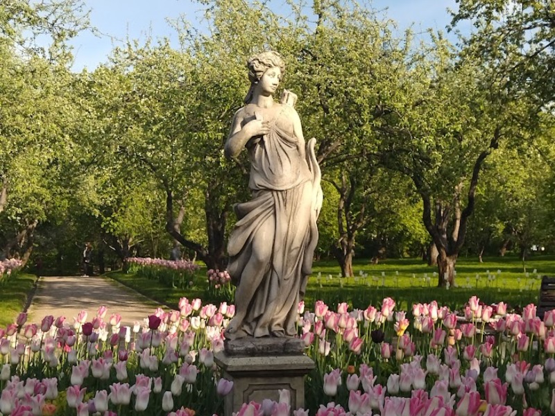 В парке