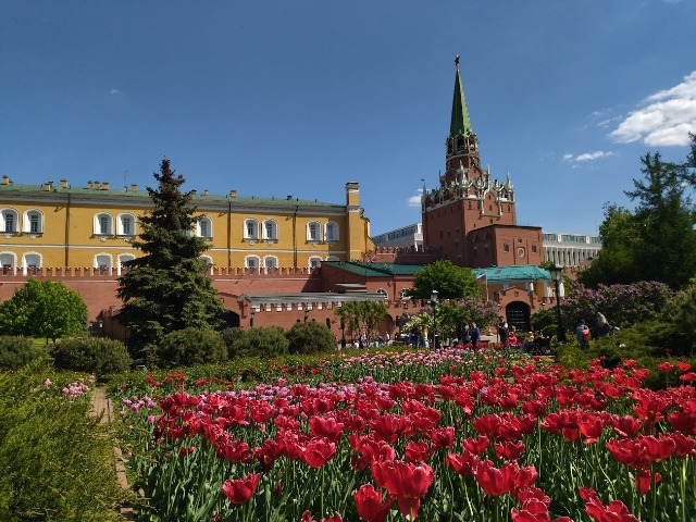 Квест для детей "Тайна похищенной казны" в Москве — фото 3