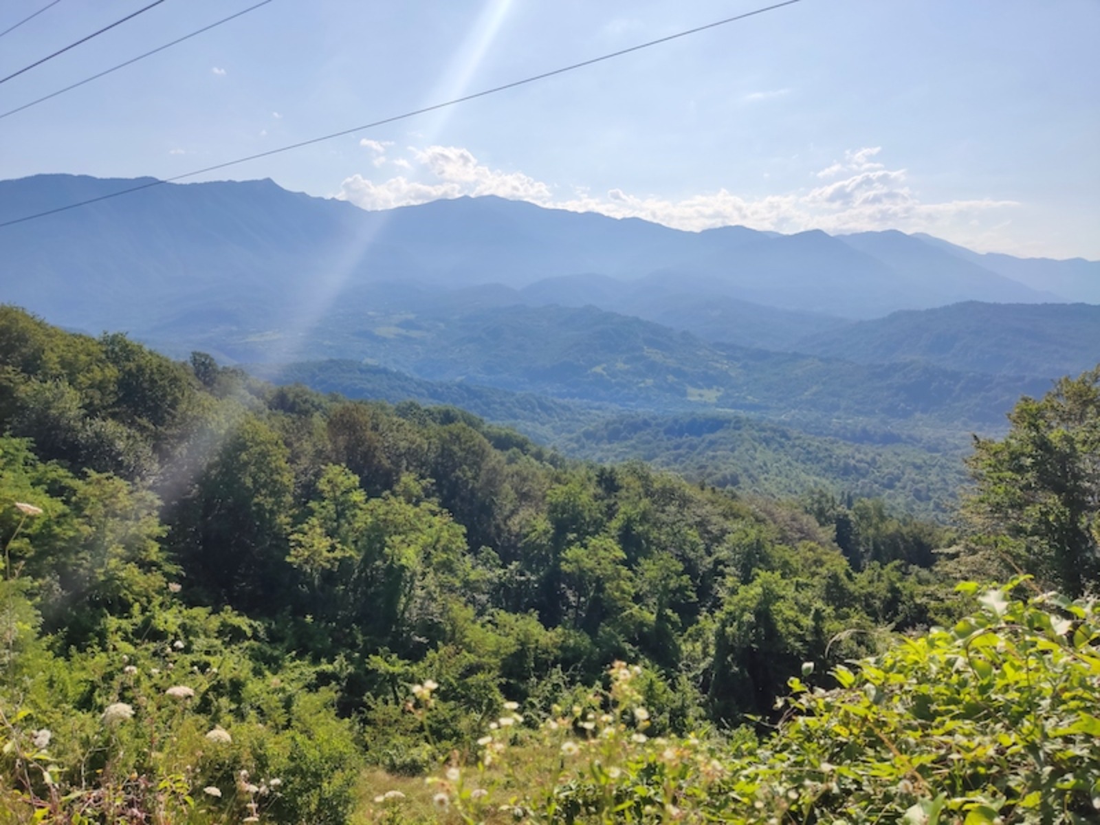 Панорамы  