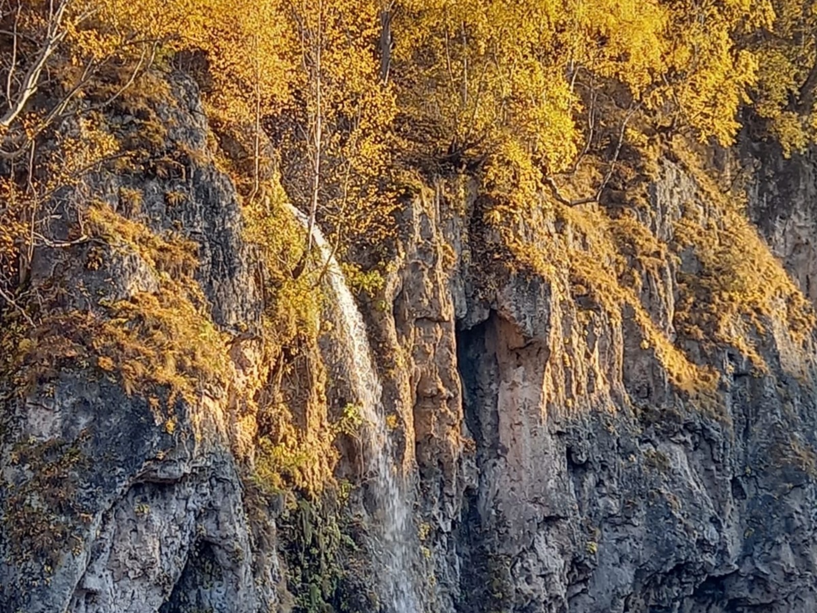 Медовый водопад  