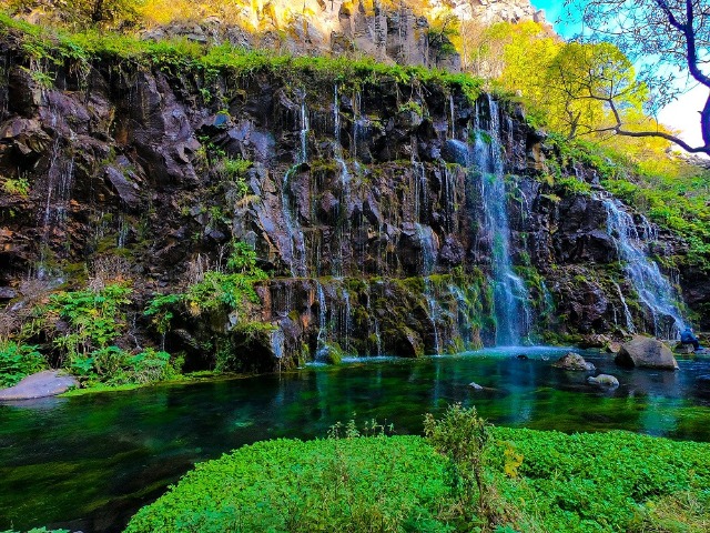 На юг! Каньон Дашбаши и регион Картли — фото 3