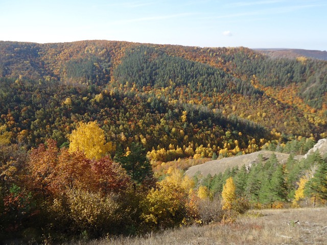 Теплоходно-пешеходный тур из Самары «Заволжские монастыри» — фото 2