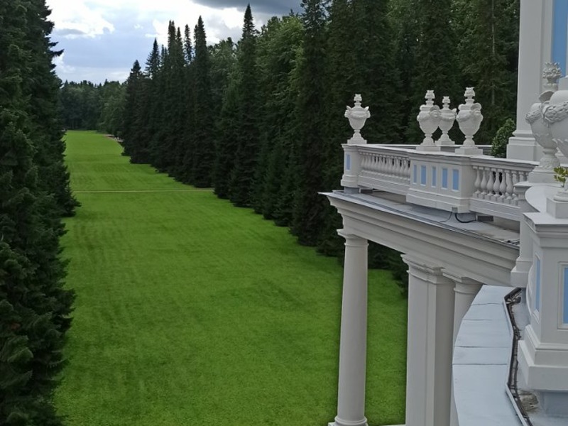 Гармония  