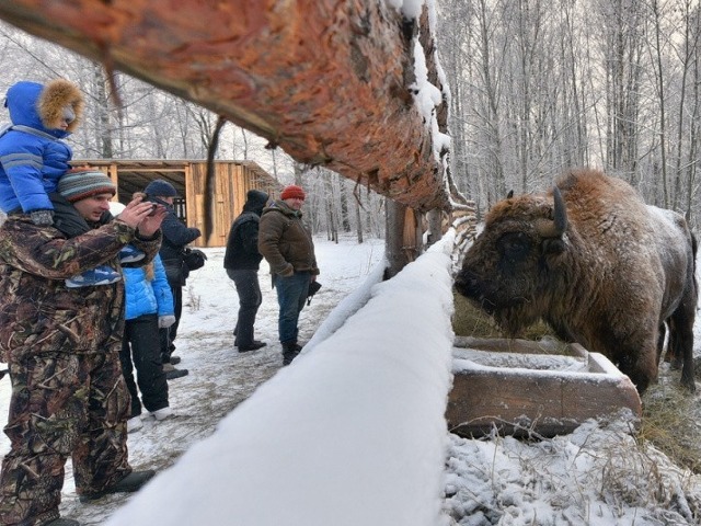 Экскурсия из Смоленска в национальный парк «Смоленское Поозерье» — фото 2