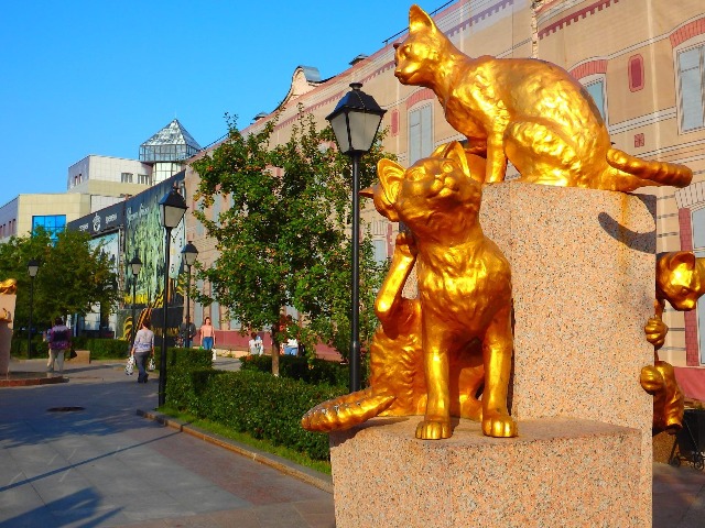 Сквер сибирских кошек