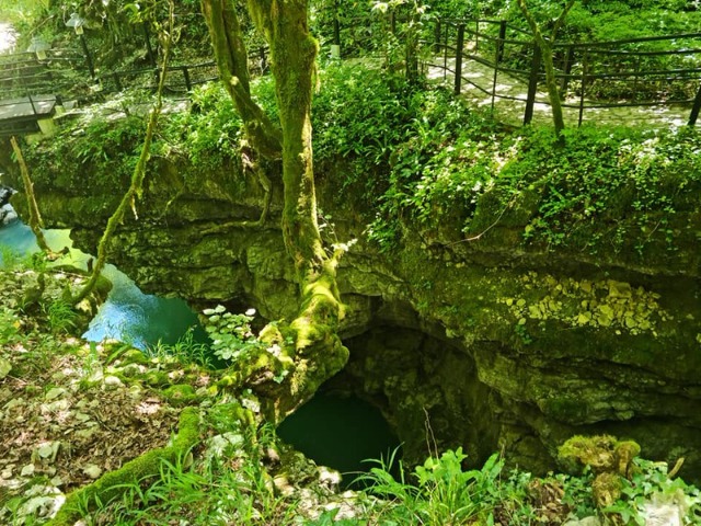 Обзорная экскурсия из Батуми к пещере Прометея и каньону Мартвили — фото 2