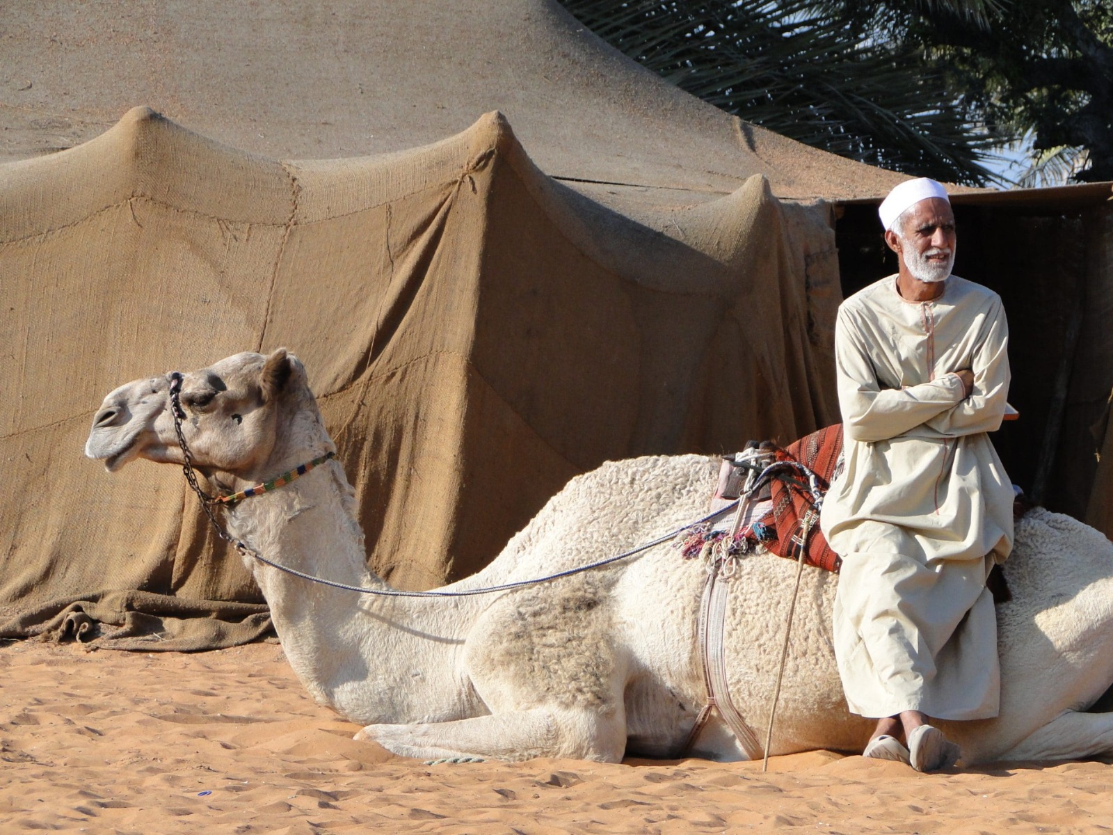 Бедуин  