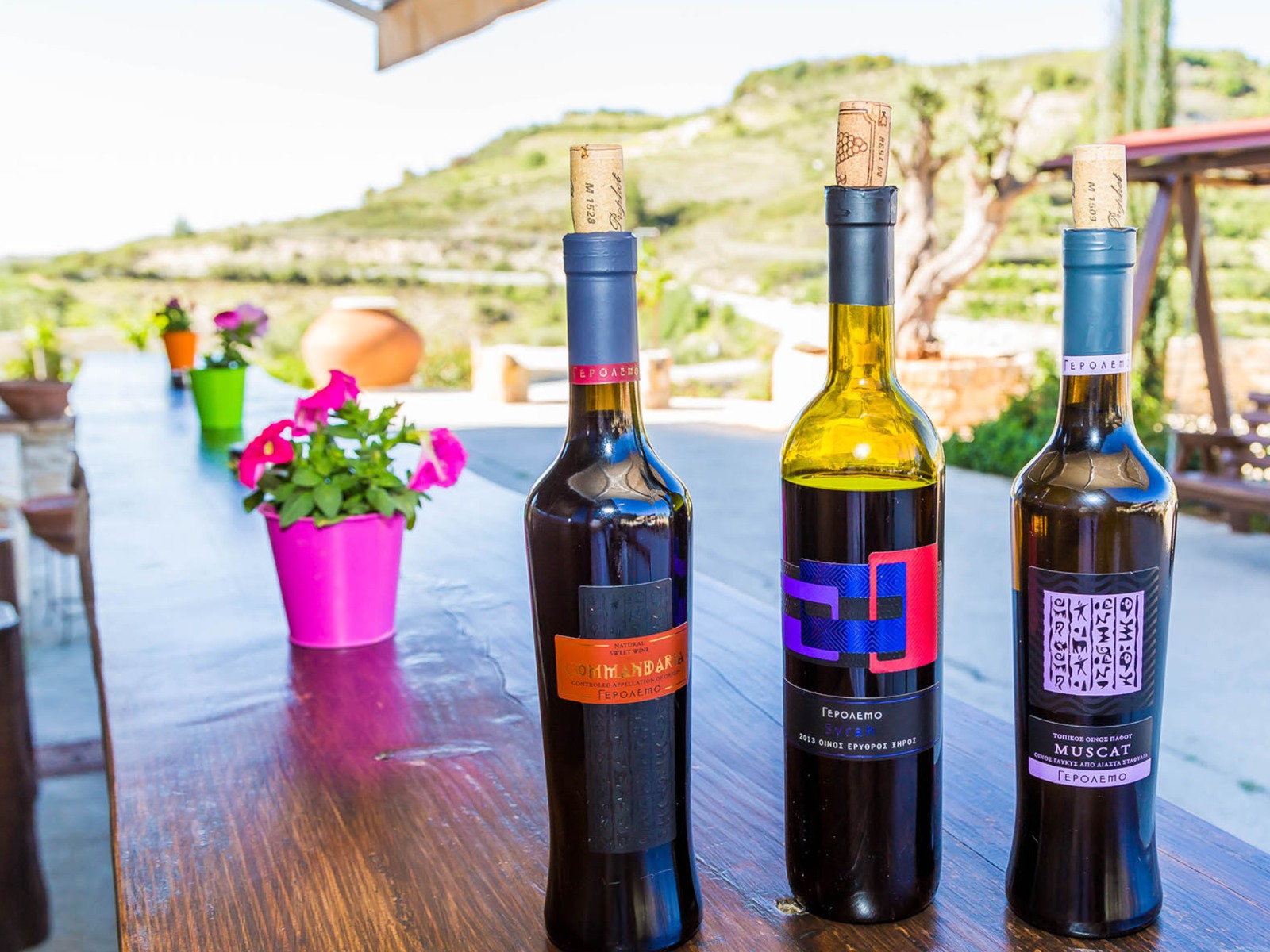 Кипрские вина guidego.ru