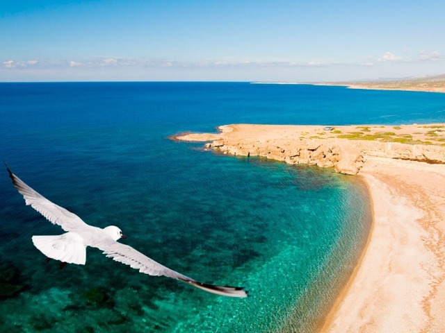 Индивидуальная экскурсия из Протараса в античный Пафос — Курион — фото 3