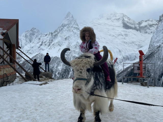 Едем в "Кавказскую Швейцарию" — вас ждёт Домбай — фото 3