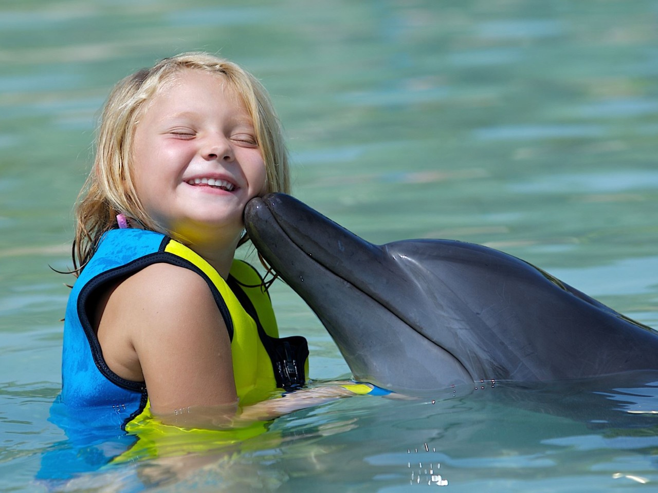Плавание с дельфинами в Шарм-эль-Шейхе | Цена 107€, отзывы, описание экскурсии