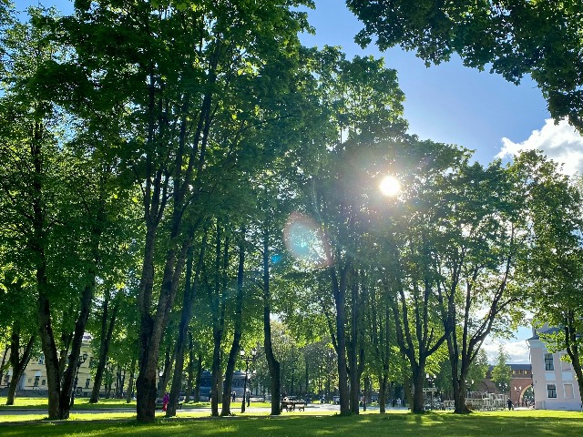 Обзорная прогулка по Великому Новгороду — фото 2