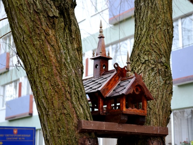 Индивидуальная пешая экскурсия в Светлогорске — фото 3