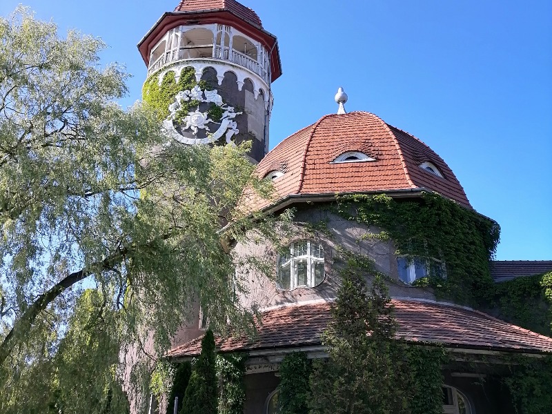 На прогулке