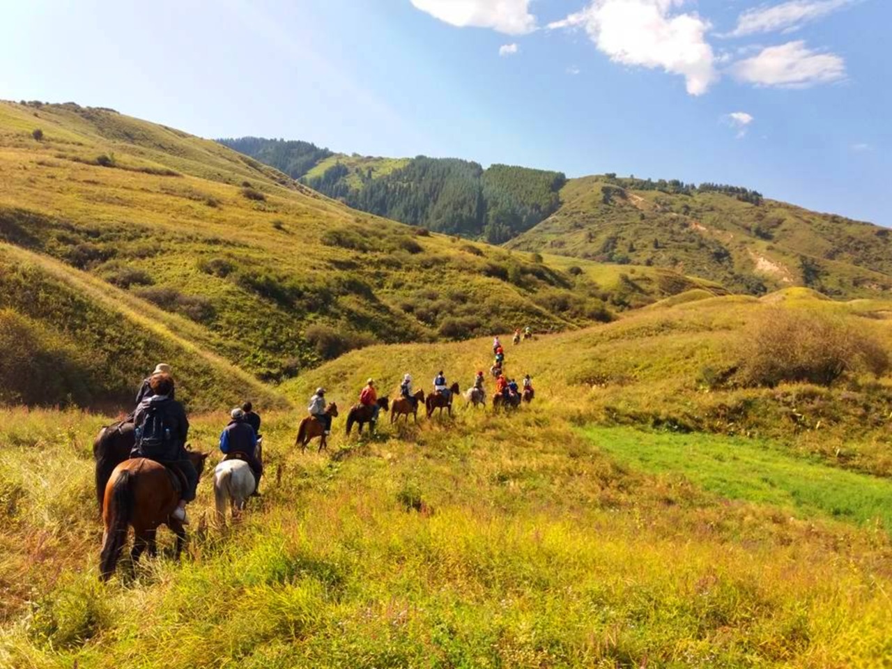 1-дневный конный тур в ущелье Чон-Кемин | Цена 200€, отзывы, описание экскурсии