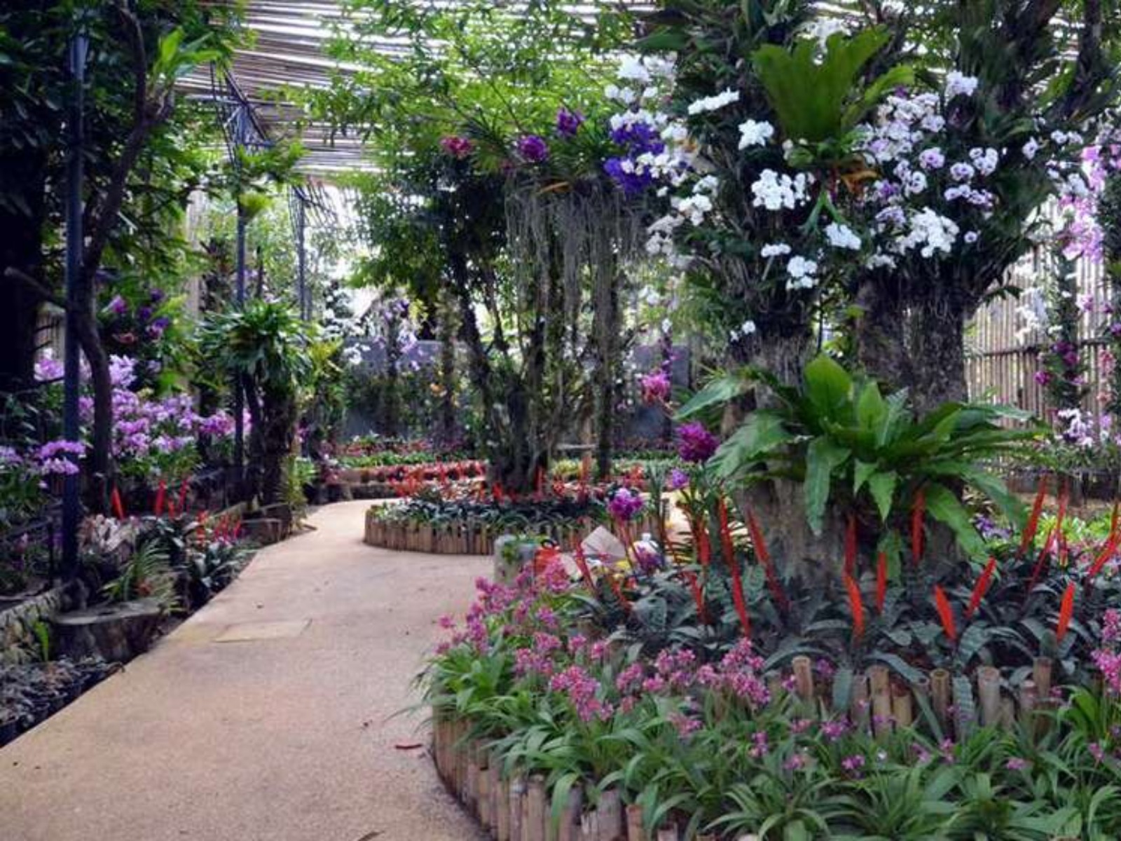 Ботанический сад  