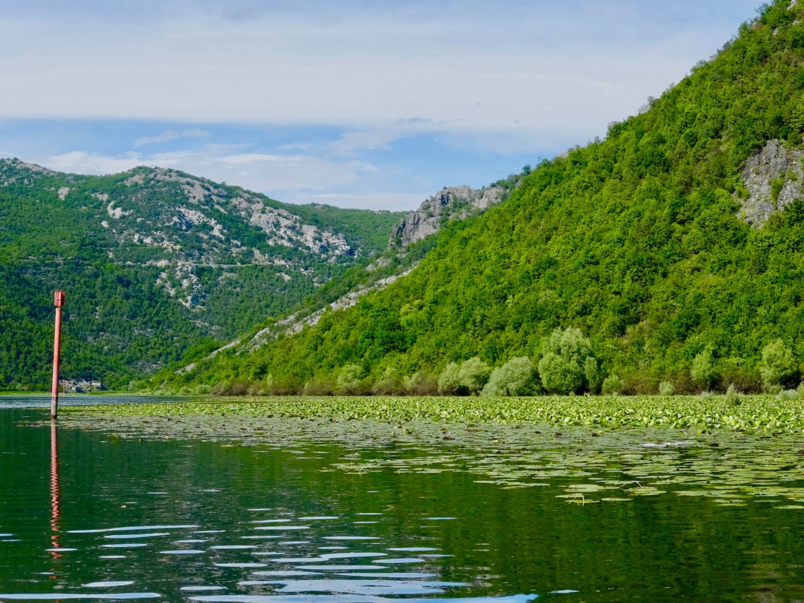 Скадарское озеро  