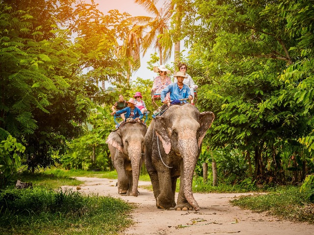 Хит Таиланда — катание на слонах