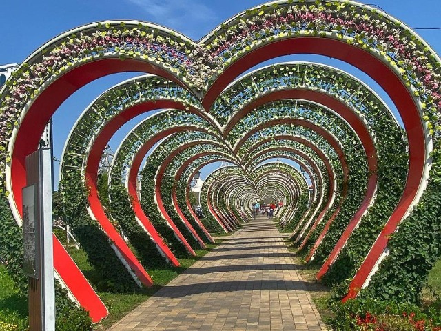Обзорная экскурсия из Махачкалы «Великолепный Грозный» за 1 день — фото 3