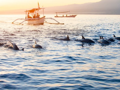 На Север Бали — к дельфинам и храму Улун Дану