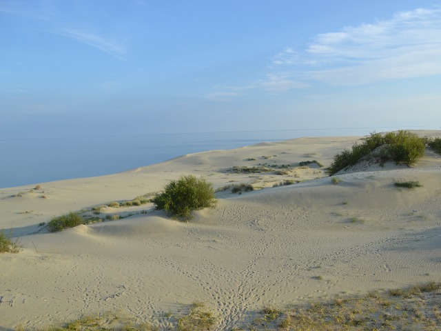 Балтийская краса — Куршская коса и Зеленоградск — фото 2