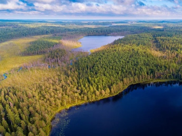 На катере к Ладожским шхерам и «местам силы» — фото 3
