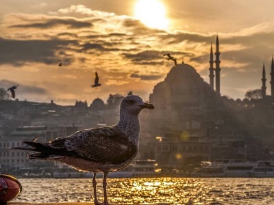 Город контрастов на Босфоре — бесподобный Стамбул 