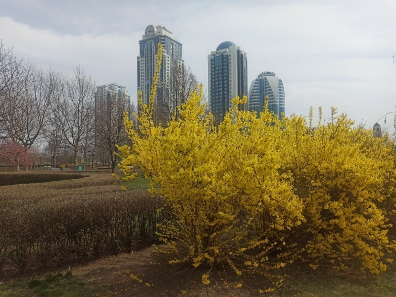 Грозный-Сити  