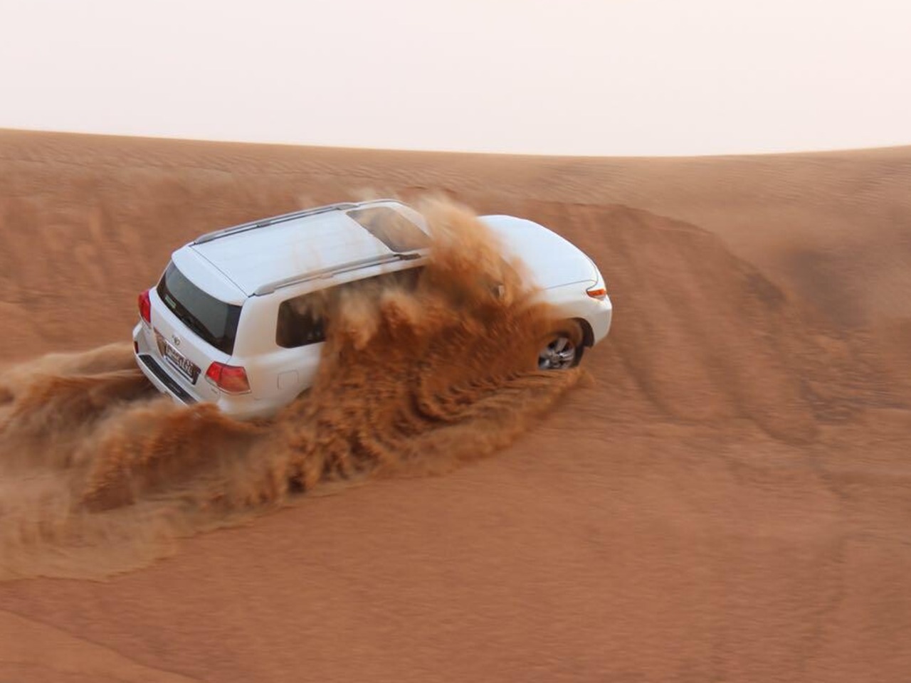 Пустынное сафари — в топе развлечений ОАЭ! | Цена 375$, отзывы, описание экскурсии