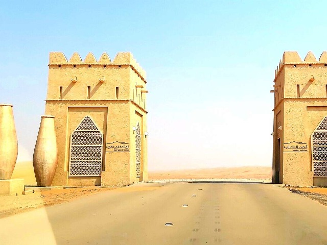 Экскурсия из Дубая в оазис Лива, в пустыню Qasr al Sarab — фото 3