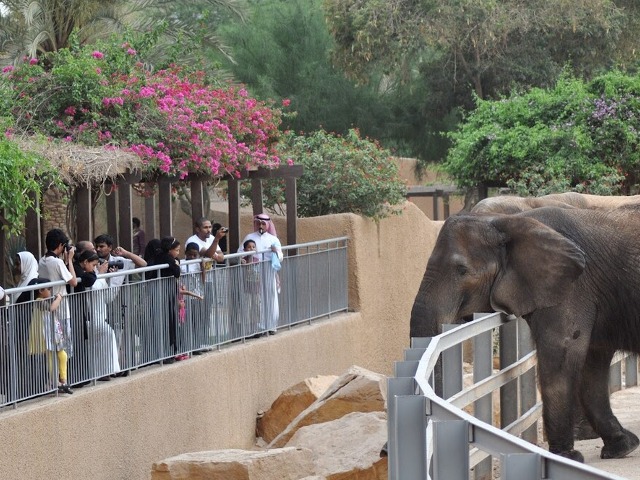 Зоопарк Dubai Safari Park