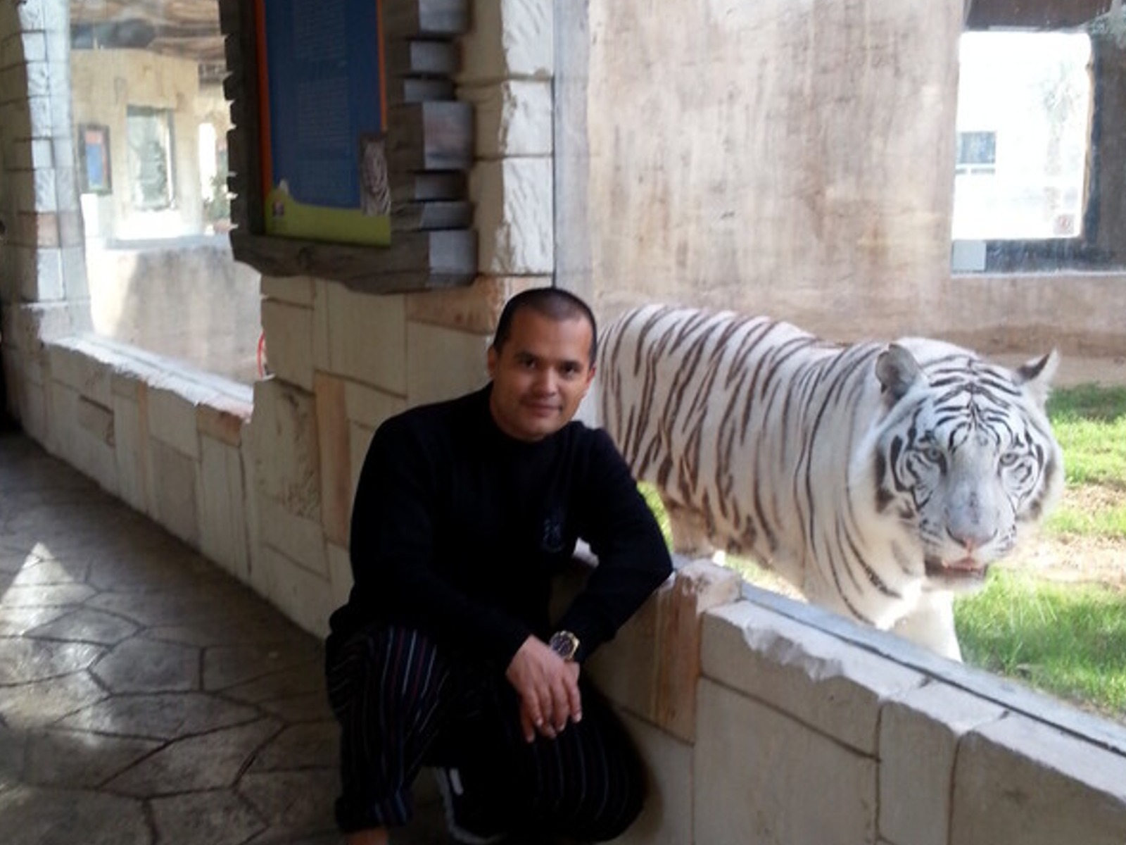 С белым тигром  
