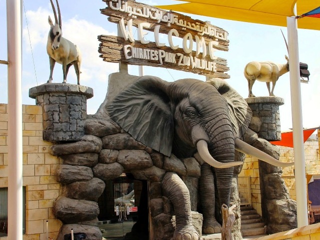 Едем в столицу: зоопарк Emirates Park в Абу-Даби