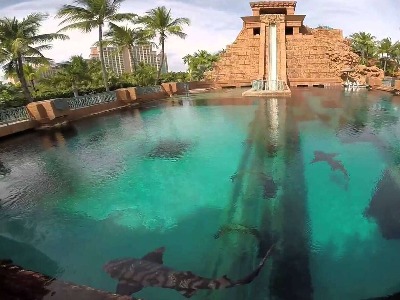 Водный парк Aquaventure в отеле “Атлантис”
