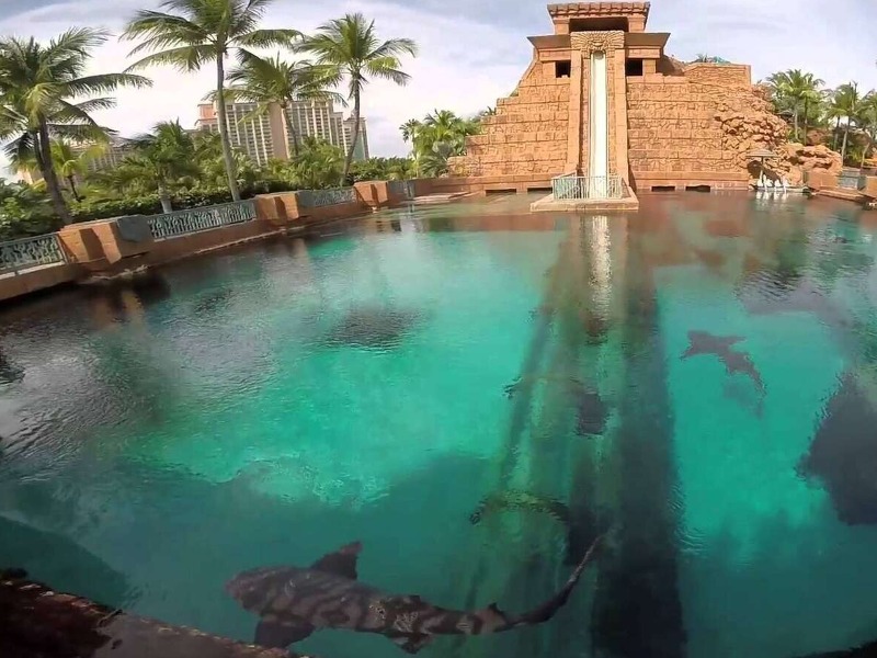 Водный парк Aquaventure в отеле “Атлантис” - групповая экскурсия в Дубае пешком длительностью 7 часов с количеством участников до 10 человек цена экскурсии 135$