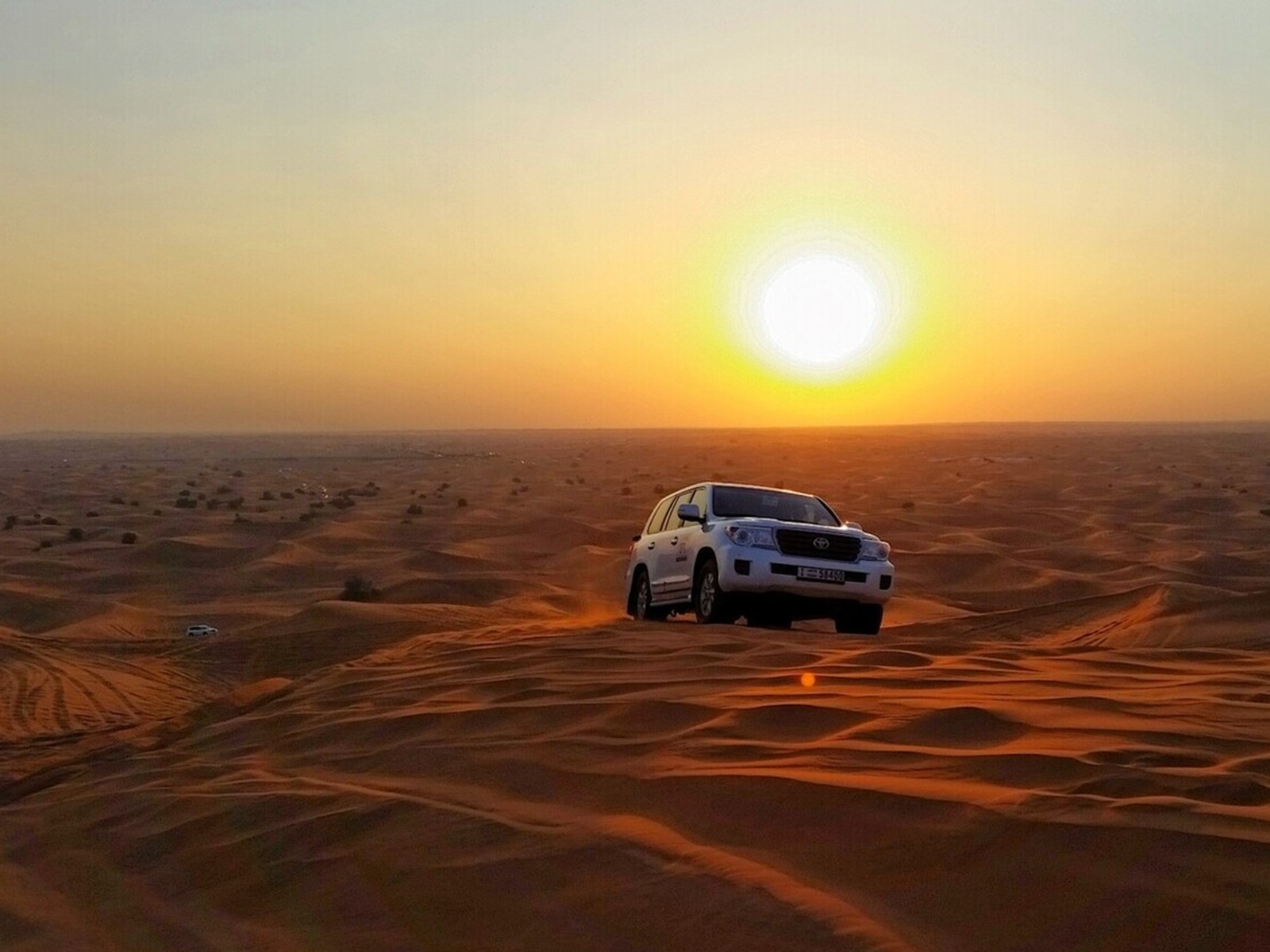 В пустыне 
