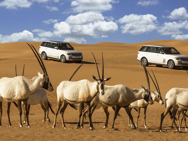 Heritage safari: легендарный тур в сердце пустыни