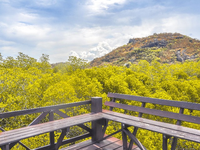 Экскурсия в мангровые леса национального парка Golden Meadow — фото 2