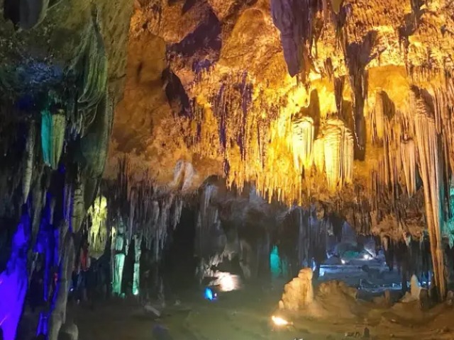 Земля королей и Альпака-парк в группе — фото 2