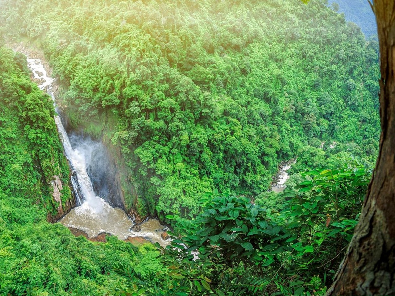 Нац. парк Кхао Яй: путешествие в край водопадов | Цена 100$, отзывы, описание экскурсии