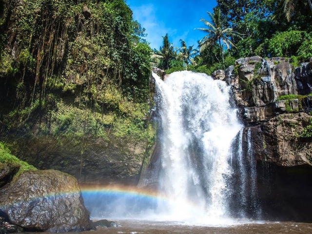 Әдемі есектер топтық порно