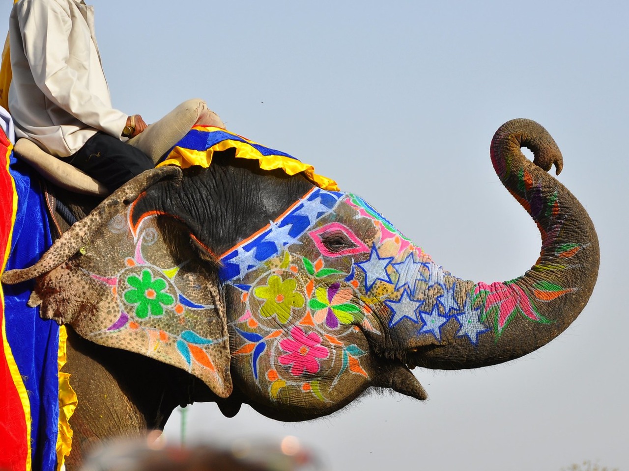Арт-Индия: тур с рисованием на слонах и вышивкой | Цена 1359$, отзывы, описание экскурсии